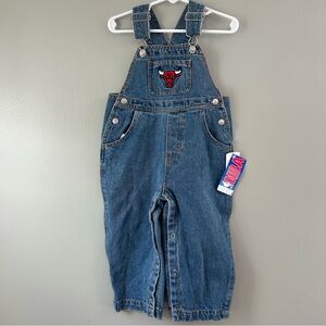Vintage Chicago Bulls Overalls